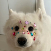 Avatar for PuppyValentine