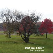 None