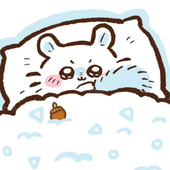 BerryPanda 的头像