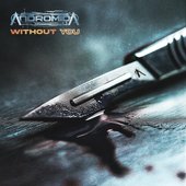 Without You