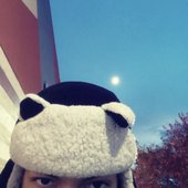IMG_7931.jpeg