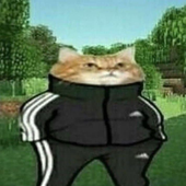 nikolasrangel 的头像