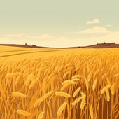 Across The Field