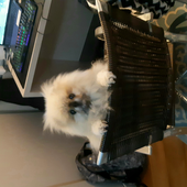 Erickndave 的头像