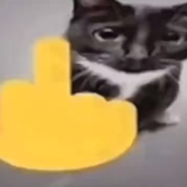 oreoshit 的头像