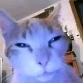 etterath 的头像