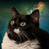 Avatar for catnipcarnage