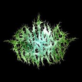 Gallows for Grace - Single