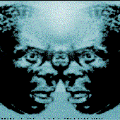 Die Elektronische Liebe