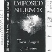 Torn Angels of Divine