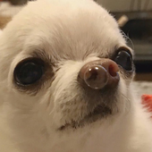 kathiek2 的头像