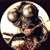 jimjimmy1984 的头像