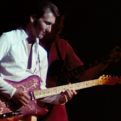 James Burton in the Elvis concert special called That's The Way It Is