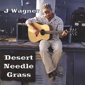 Desert Needle Grass