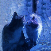 Cats.png