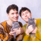 dan and phil and cats