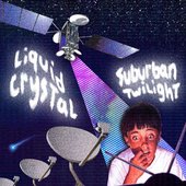 Liquid Crystal