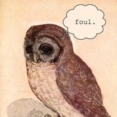 foul. owl