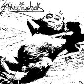 Adi Shakt