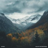 Cold of the Wintertime