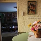 Pictures Of The Warm South