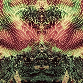 Asio_flammeus 的头像