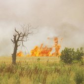 INCENDIES