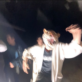 Screenshot (19).png