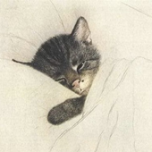 meowsar 的头像