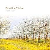 Beautiful Stable
