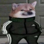 SirShrubbery 的头像