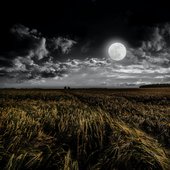 Moon Gazing