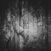 when i lost myself [Explicit]