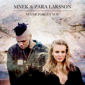 Never Forget You - Single.png