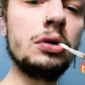 yvl