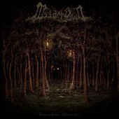 From Whence the Woods...