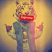 DarkoDakroDkror 的头像