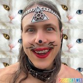 PussyCat Wet