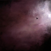 Avatar for Cold_War_Kid_