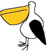 carkken 的头像