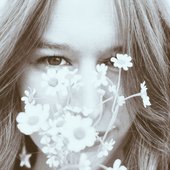 Wildflowers
