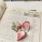 rentalsoya 的头像