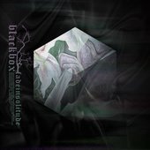 Black Box - Single
