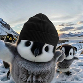 Avatar for bielzzers