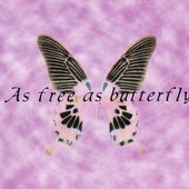 as free as butterfly