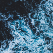 Avatar for Aquilist
