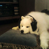 LastFM profile picture for @tet