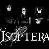 Isoptera