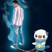 Avatar for Oshabot