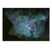 Ett kluster av maneter